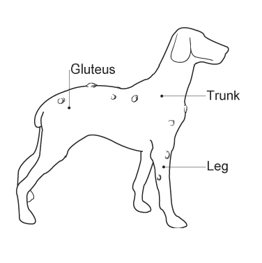 what causes lipomas in dogs